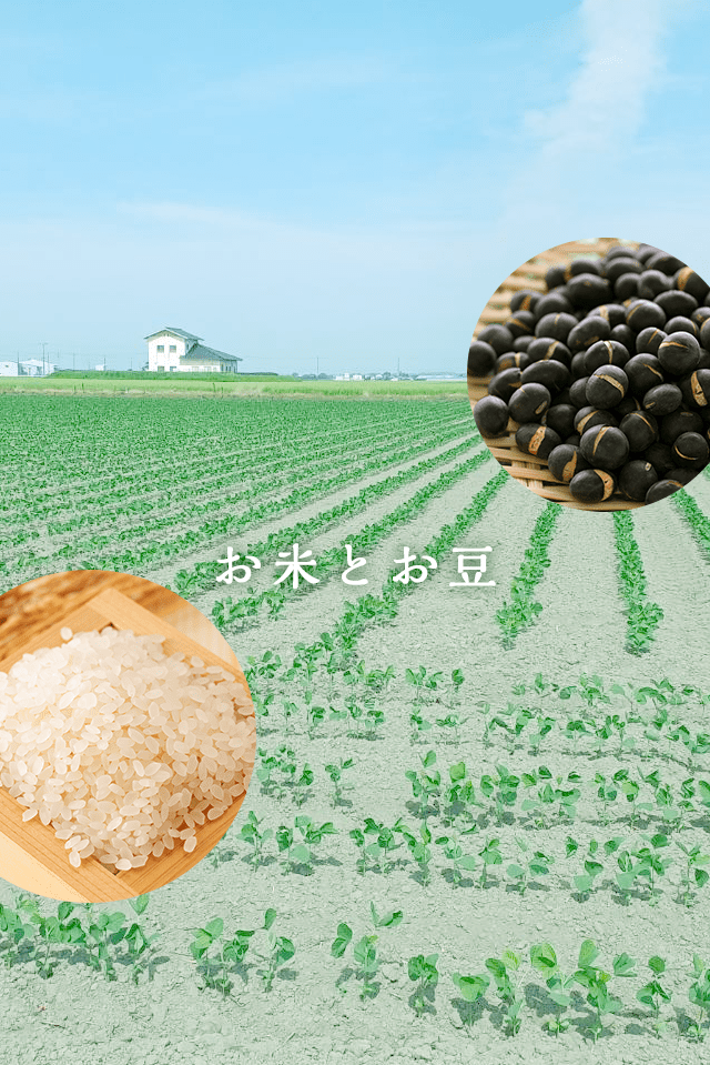 お米とお豆